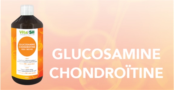 GLUCOSAMINE - CHONDROÏTINE